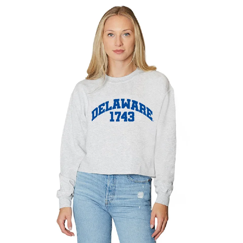 Delaware Established Crewneck